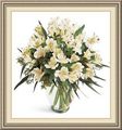 Shellys Floral Designs, 325 E White Horse Pike, Absecon, NJ 08205, (609)_652-6348